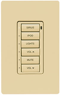 IVORY - 6 Button